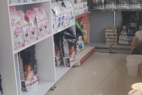 Akyurt Veteriner Kliniği Şarköy - Resim 8