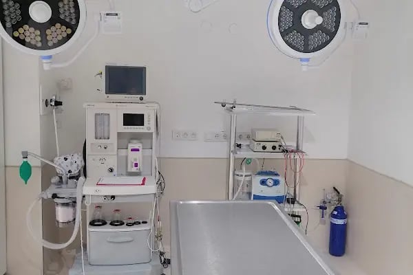 Vet International Özel Hayvan Hastanesi Kuşadası 7/24 - Resim 18