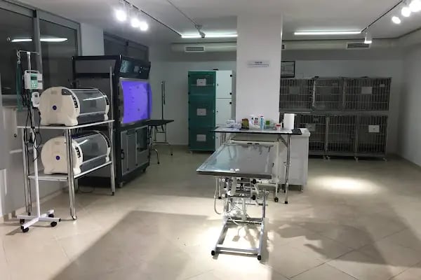 Vet International Özel Hayvan Hastanesi Kuşadası 7/24 - Resim 3