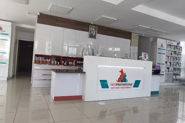 Vet International Özel Hayvan Hastanesi Kuşadası 7/24 - Resim 15