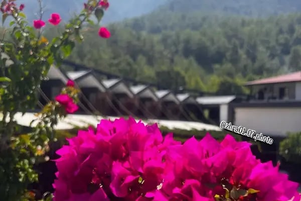Alanya Dimçayı - Resim 18