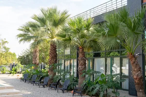 Inno Concept Business Antalya - Resim 1