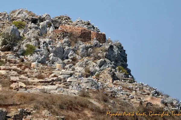 Myndos Antik Kenti - Resim 19