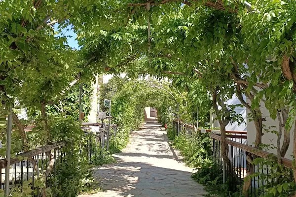 Tropicana Beach Hotel - Resim 18
