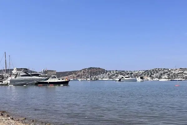 Tropicana Beach Hotel - Resim 16