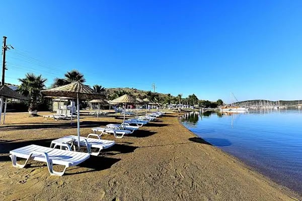Tropicana Beach Hotel - Resim 6