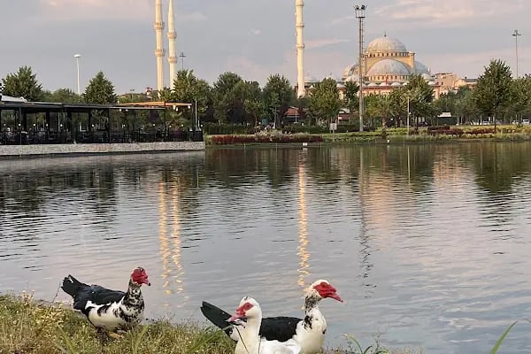 Hüdavendigar Kent Parkı - Resim 7