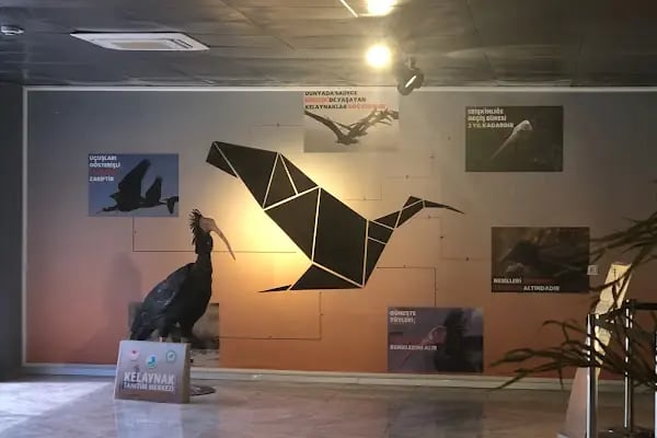 Birecik Birds Watching point..🦉🕊💙🇹🇷 - Resim 19