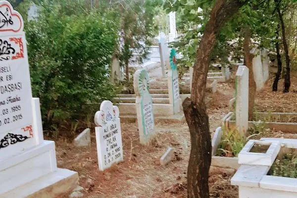 Elmacı Mezarlığı - Resim 2