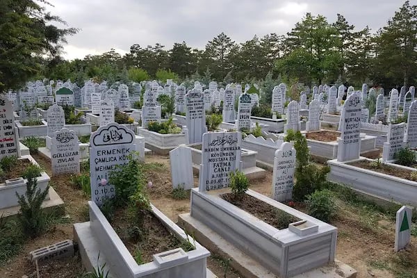 Elmacı Mezarlığı - Resim 6