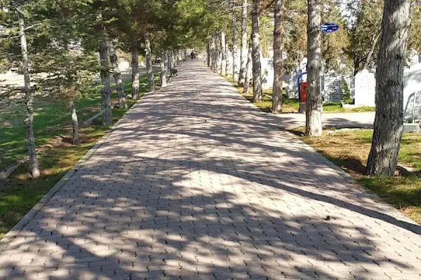 Elmacı Mezarlığı - Resim 7