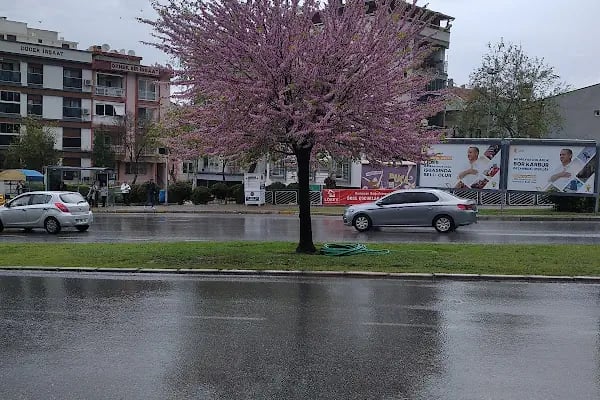 Mavi Deniz Tıp Merkezi - Resim 7