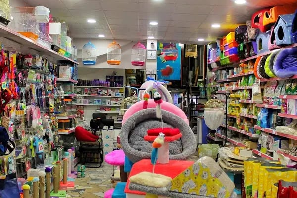 Gonen Otantik pet market - Resim 8