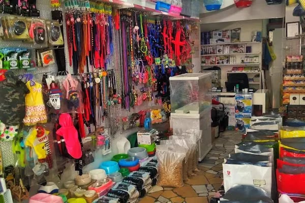 Gonen Otantik pet market - Resim 9