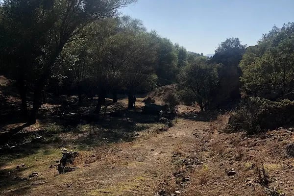 Meşeli Dağ Mesire Alanı Macera park - Resim 6