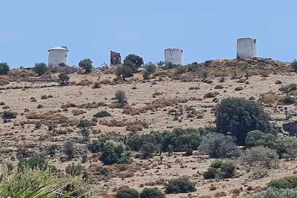 Plaza Bodrum - Resim 7