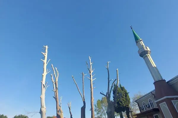 T.Z.D.K. DONATIM PARK CAMİİ - Resim 9