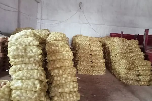 Bahçelievler belediyesi sebze ve meyve toptancılar hali - Resim 9