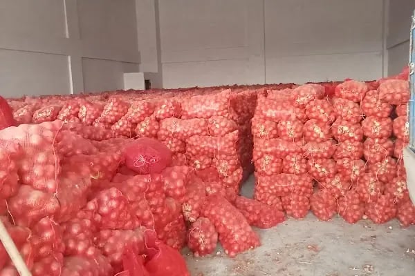 Bahçelievler belediyesi sebze ve meyve toptancılar hali - Resim 7