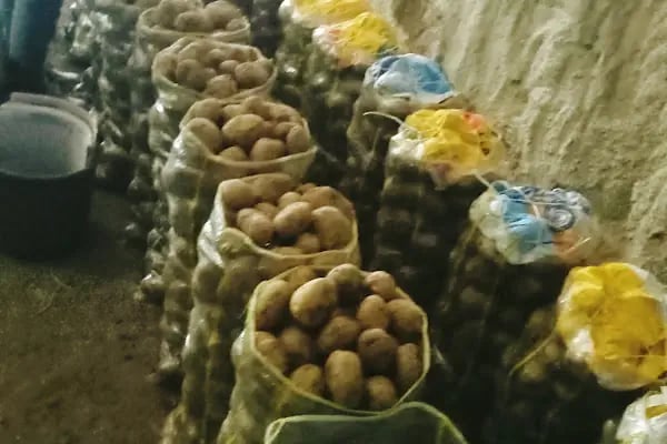 Bahçelievler belediyesi sebze ve meyve toptancılar hali - Resim 14