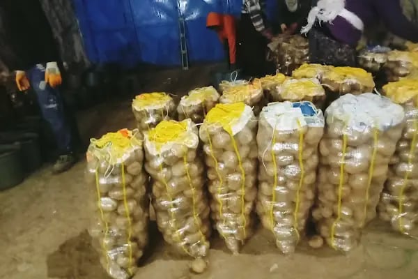 Bahçelievler belediyesi sebze ve meyve toptancılar hali - Resim 11