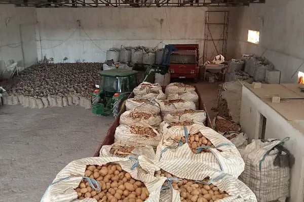 Bahçelievler belediyesi sebze ve meyve toptancılar hali - Resim 2