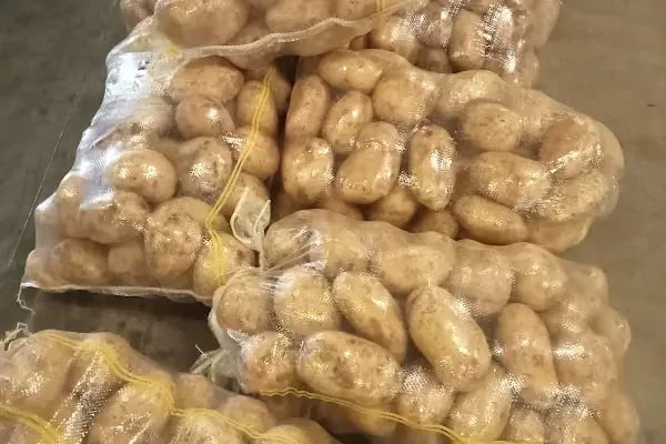 Bahçelievler belediyesi sebze ve meyve toptancılar hali - Resim 8