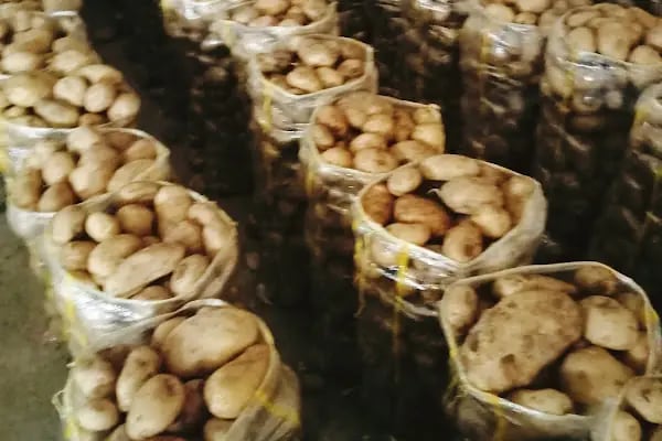 Bahçelievler belediyesi sebze ve meyve toptancılar hali - Resim 15
