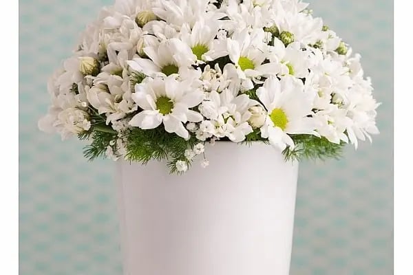 Bandırma Flora Çiçekçilik - Resim 20