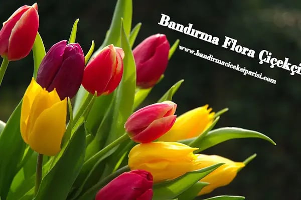 Bandırma Flora Çiçekçilik - Resim 2