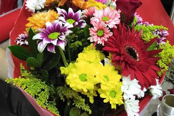 Bandırma Flora Çiçekçilik - Resim 12