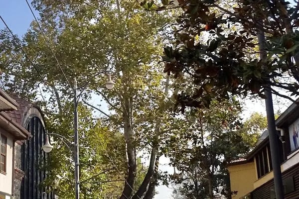 Ertuğrul Bey Camii - Resim 7