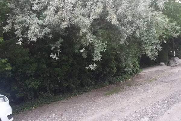 Gazi Gündüzalp İş Mer. - Resim 18