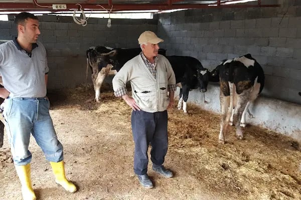 CEYHAN MERT VETERİNER KLİNİĞİ - Resim 3