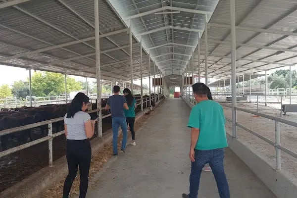 CEYHAN MERT VETERİNER KLİNİĞİ - Resim 19