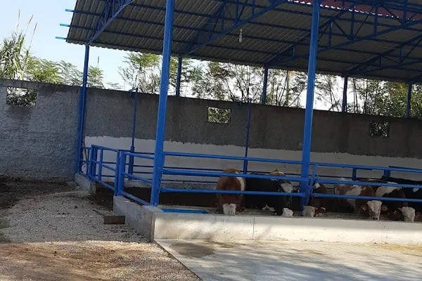 CEYHAN MERT VETERİNER KLİNİĞİ - Resim 18