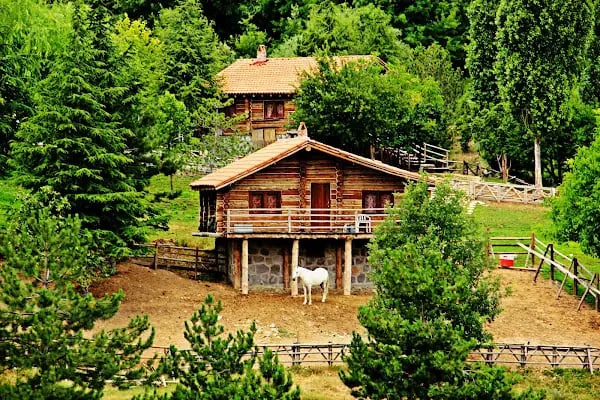 Beşikkaya Parkı - Resim 13