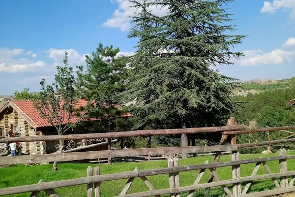 Beşikkaya Parkı - Resim 19
