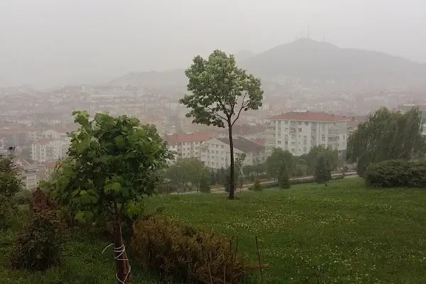 Beşikkaya Parkı - Resim 3
