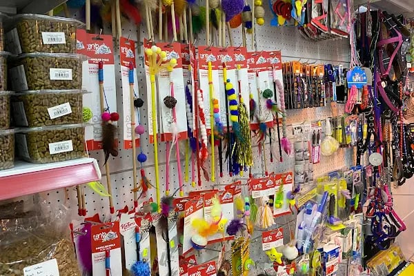 Petkatalog Bağcılar Petshop - Resim 19