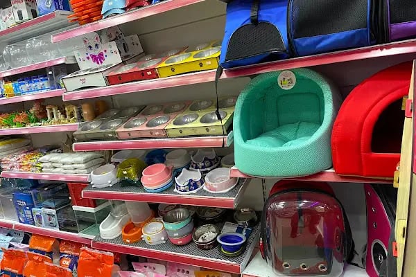 Petkatalog Bağcılar Petshop - Resim 10