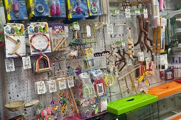 Petkatalog Bağcılar Petshop - Resim 20