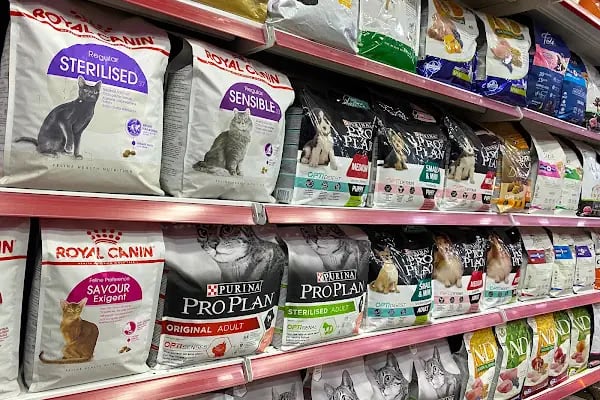 Petkatalog Bağcılar Petshop - Resim 6