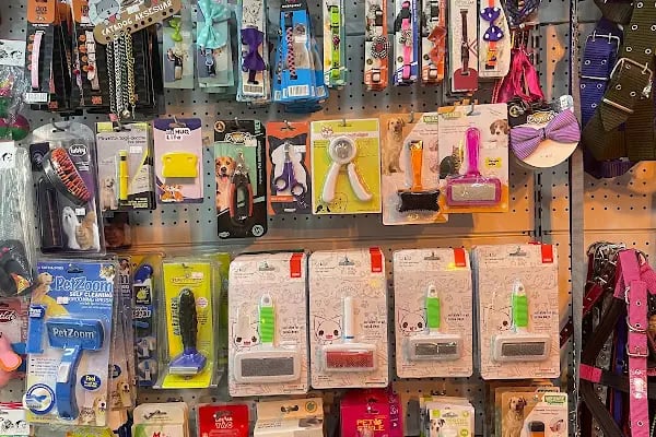 Petkatalog Bağcılar Petshop - Resim 4