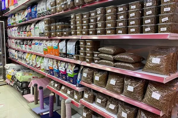 Petkatalog Bağcılar Petshop - Resim 3