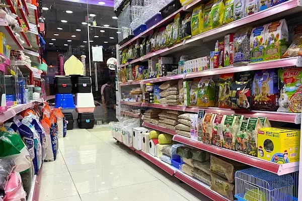 Petkatalog Bağcılar Petshop - Resim 2