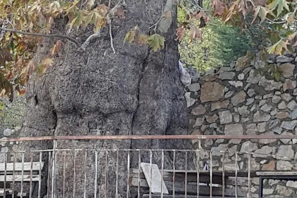 Güzelsu Çay Bahçesi - Resim 20