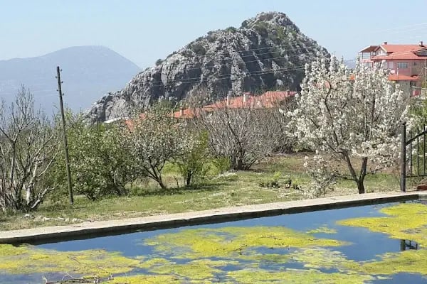 Güzelsu Çay Bahçesi - Resim 10
