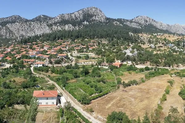 Güzelsu Çay Bahçesi - Resim 6