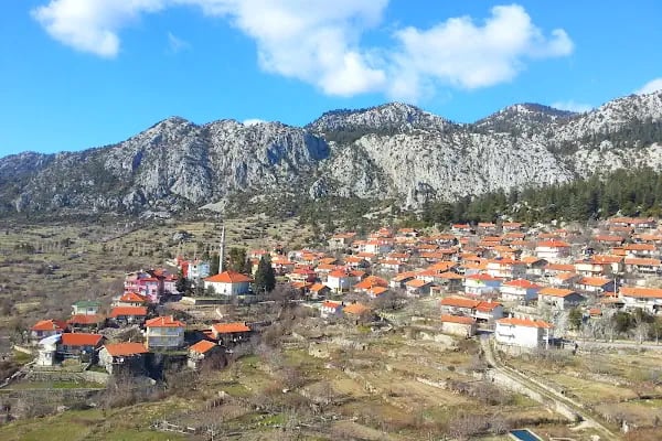 Güzelsu Çay Bahçesi - Resim 1